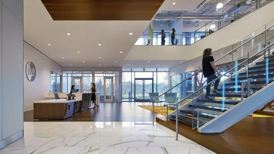 Image by Scott McDonald